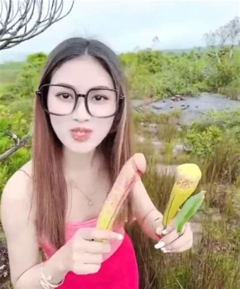 sex mad tourists told to stop playing with penis plants as they