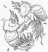 Rooster Gallos Pelea Fighting Roosters Imagenesdegallos sketch template