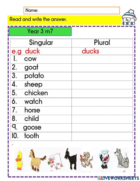 singular  plural nouns interactive exercise  year  plurals