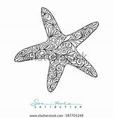 Sea Star Coloring Adult Drawing Vector Book Shutterstock Outline Decorative Older Children Logo Illustration sketch template