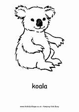 Koala Colouring Coloring Australia Pages Kids Print Animal Bear Kangaroo Animals Printable Sheets Australian Koalas Color Activity Board Card Activityvillage sketch template