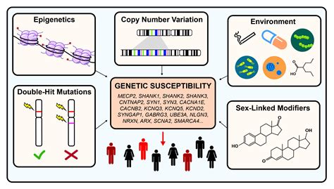 investigation dna proteins  mutations answers  genetic proteome