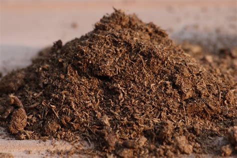 types  soil        garden soil