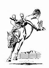 Bucking Horse Coloring Pages Getcolorings Color sketch template
