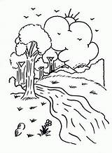 River Coloring Pages Printable Trees Results sketch template