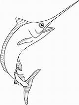 Marlin Pez Swordfish Colorear Bahamas Arte Espada Spearfish Pescador Bah Oceano Marítima Sombras Defino sketch template