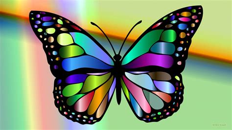 colorful butterfly wallpapers top  colorful butterfly backgrounds