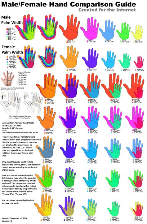 average hand comparison chart   created     compare