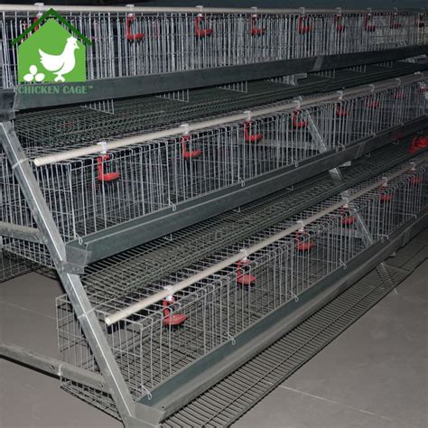 pin  layer cagechicken cage