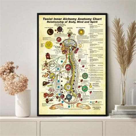 taoist  alchemy anatomy chart poster knowledge poster meditation