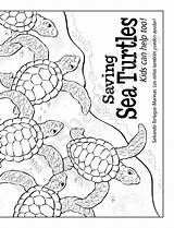 Turtles Saving sketch template