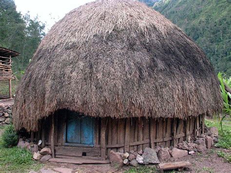 gema budaya rumah honai rumah adat papua