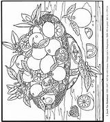 Coloring Dover Stilleben Cezanne Stillleben Fingerdruck Ananas Obst Doverpublications sketch template
