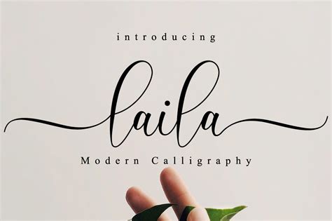 laila modern script stunning script fonts creative market