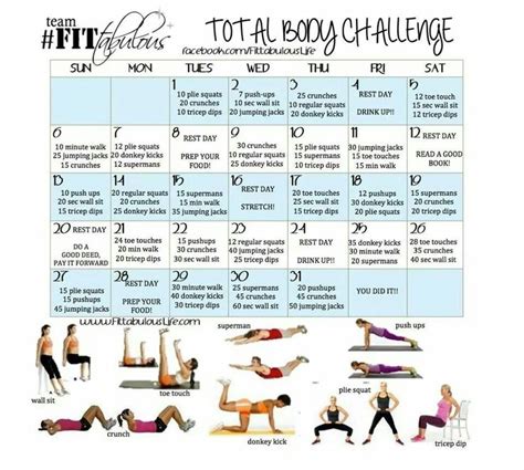 day total body challenge workout challenge beginner workout body challenge