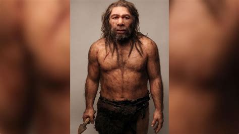 Prehistoric Teeth Seen As Proof Of Early Human Sex With Neanderthals