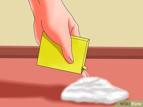 clean vomit   carpet  pictures wikihow life