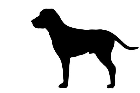 dog black silhouette  stock photo public domain pictures