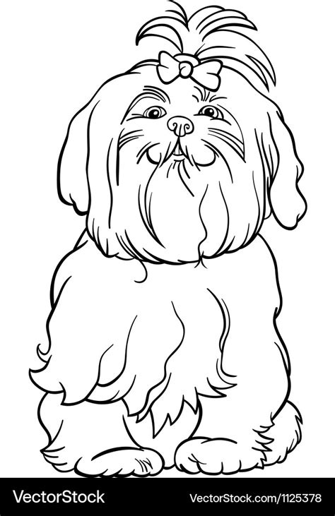 maltese dog cartoon  coloring book royalty  vector