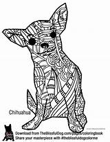 Coloring Chihuahua Dog Pages Adult Color Book Books Colouring Chihuahuas Theblissfuldog Bold Mandaly Dogs Blissful Choose Board sketch template
