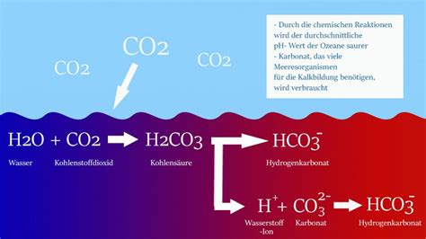 ozeanversauerung ein unterschaetztes problem kurt