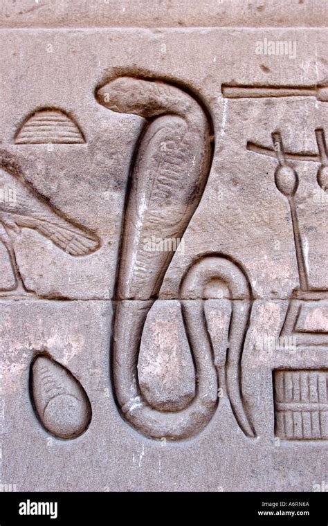 Temple Of Denderah Queen Cleopatra Human Figures And