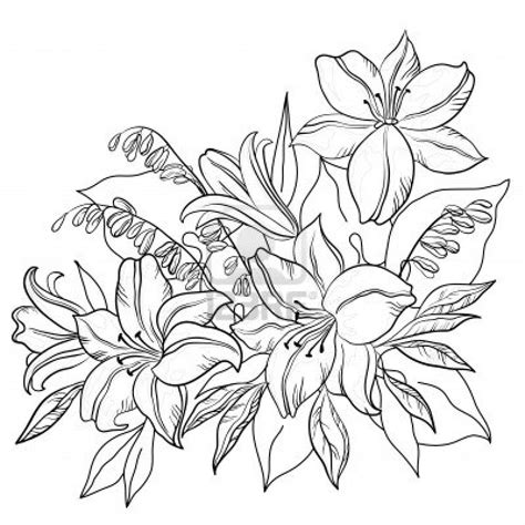 flowers outlines flower coloring pages flower drawing coloring pictures