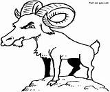 Goat Goats Cabras Ziege Mwb Webstockreview sketch template