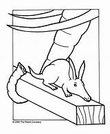 Aardvark Ark Animals Seemed Appeared Restless Lord sketch template