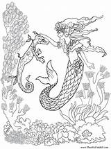 Coloring Mermaid Seahorse Pages sketch template