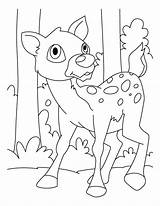 Deer Coloring Pages Template Baby Fearful Jumping Drawing Templates Tailed Comments Popular Printable Coloringhome Kids sketch template