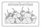 Salad Fruit Sparklebox Oliver Colouring Sheets Also sketch template