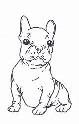 Bulldog Coloring French Pages Terrier Boston Printable West Color Drawing Highland Puppy Print Kids Getcolorings Step Library Draw Clipart Line sketch template