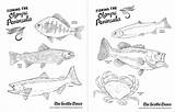 Peninsula Coloring Olympic Exploring Fish Template Pages sketch template