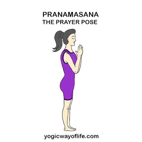pranamasana  prayer pose