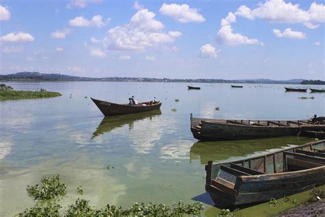 lake victoria facts safari uganda africa