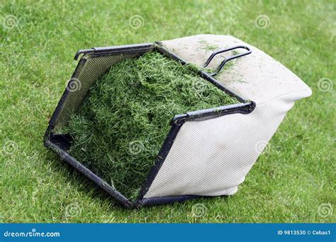 lawn mower basket stock photo image