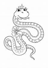 Schlange Schlangen Ausmalbilder Malvorlage Malen Kinderbilder Zahlen Verwandt sketch template
