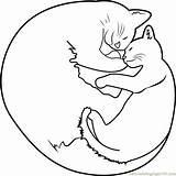 Cat Coloring Sleeping Kitten Cute Pages Mom Drawing Color Getdrawings Getcolorings Cats Printable Coloringpages101 sketch template