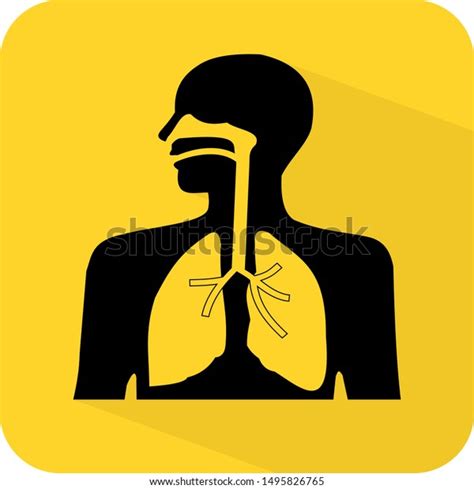 Human Respiratory System Medical Lungs Inhaler Stock Vector Royalty