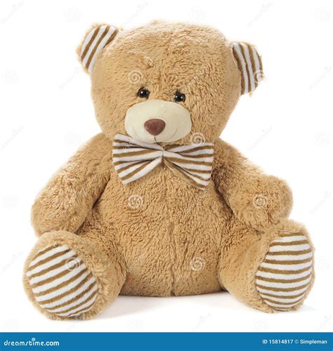 stuffed bear stock image image  sitting brown softness