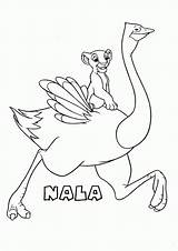 Nala Ostrich Coloringhome sketch template