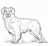 Retriever Educativeprintable Educative Hund sketch template
