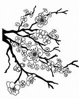 Blossom sketch template