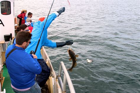 small group sea fishing gourmet   reykjavik