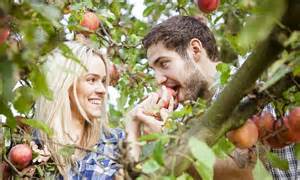 you better adam and eve it apples improve sex for women fruit compound stimulates female