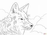 Coyote Coloring Pages Wolf Howling Moon Head Printable Easy Drawing Color Animals Colouring Opress Savage Getdrawings Super Real Supercoloring Getcolorings sketch template