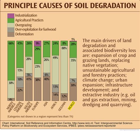 chart  principal   soil degradation  global education