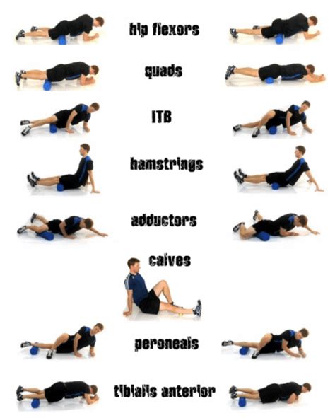 Mobilityexercises Roller Workout Foam Roller Exercises Foam Rolling