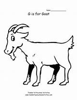 Coloring Pages Kids Goat Letter Color Toddler Animal Creative Pediatrics Lesson Plans Printable sketch template